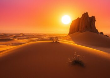 Desert Sunrise